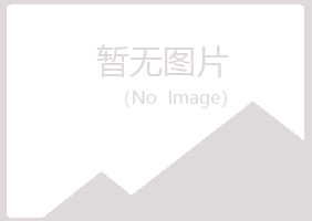 河池蓝天化学有限公司